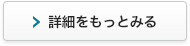 詳細をもっとみる